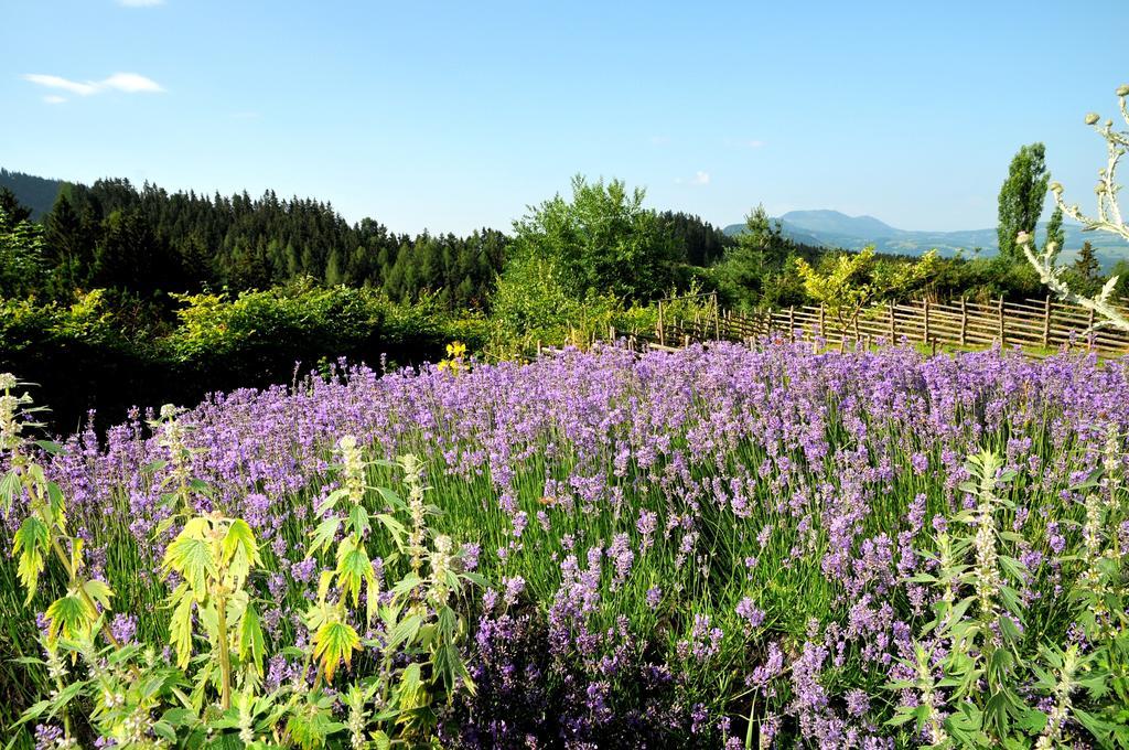 Sulamith Ferienhaus Mit Garten Sankt Kathrein am Offenegg Kamer foto