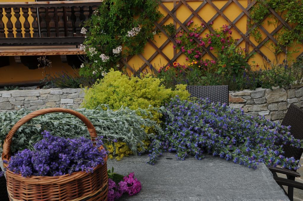 Sulamith Ferienhaus Mit Garten Sankt Kathrein am Offenegg Buitenkant foto