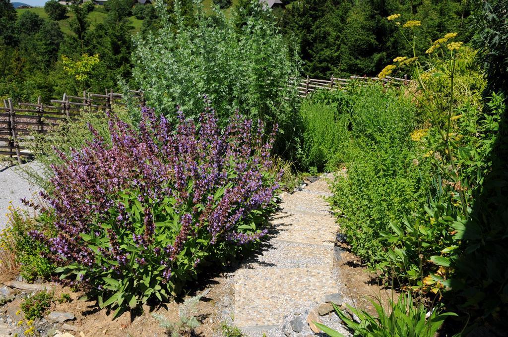 Sulamith Ferienhaus Mit Garten Sankt Kathrein am Offenegg Buitenkant foto