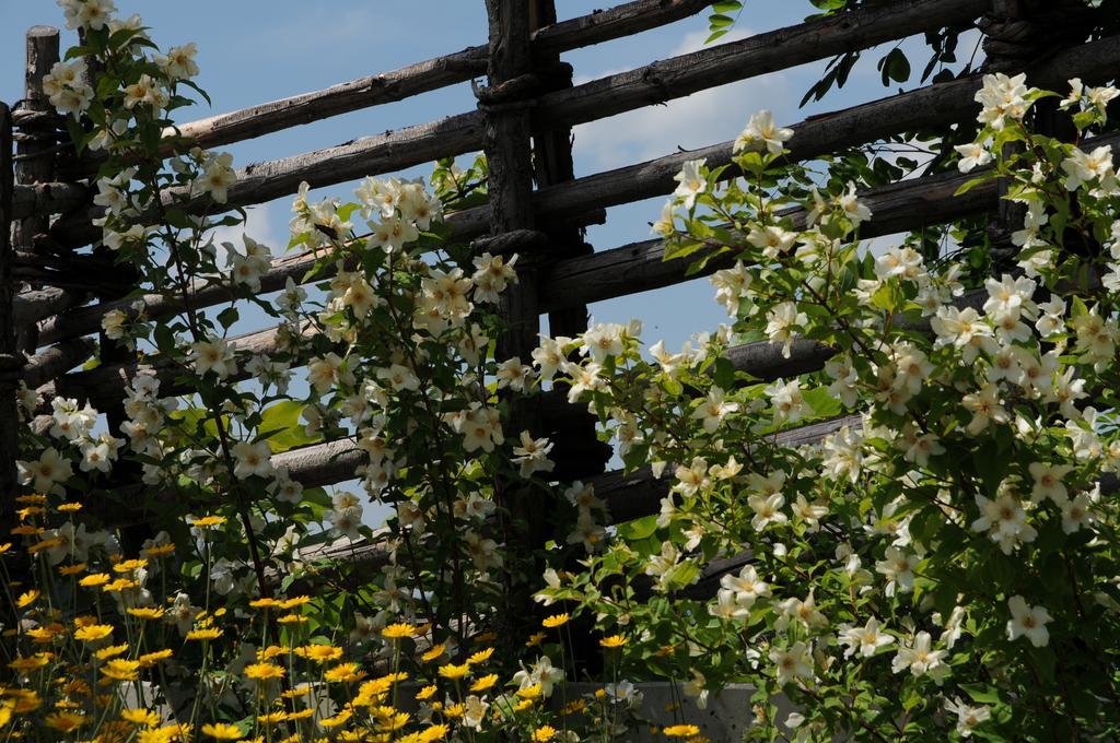 Sulamith Ferienhaus Mit Garten Sankt Kathrein am Offenegg Buitenkant foto