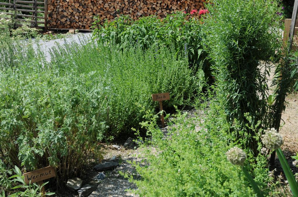 Sulamith Ferienhaus Mit Garten Sankt Kathrein am Offenegg Buitenkant foto