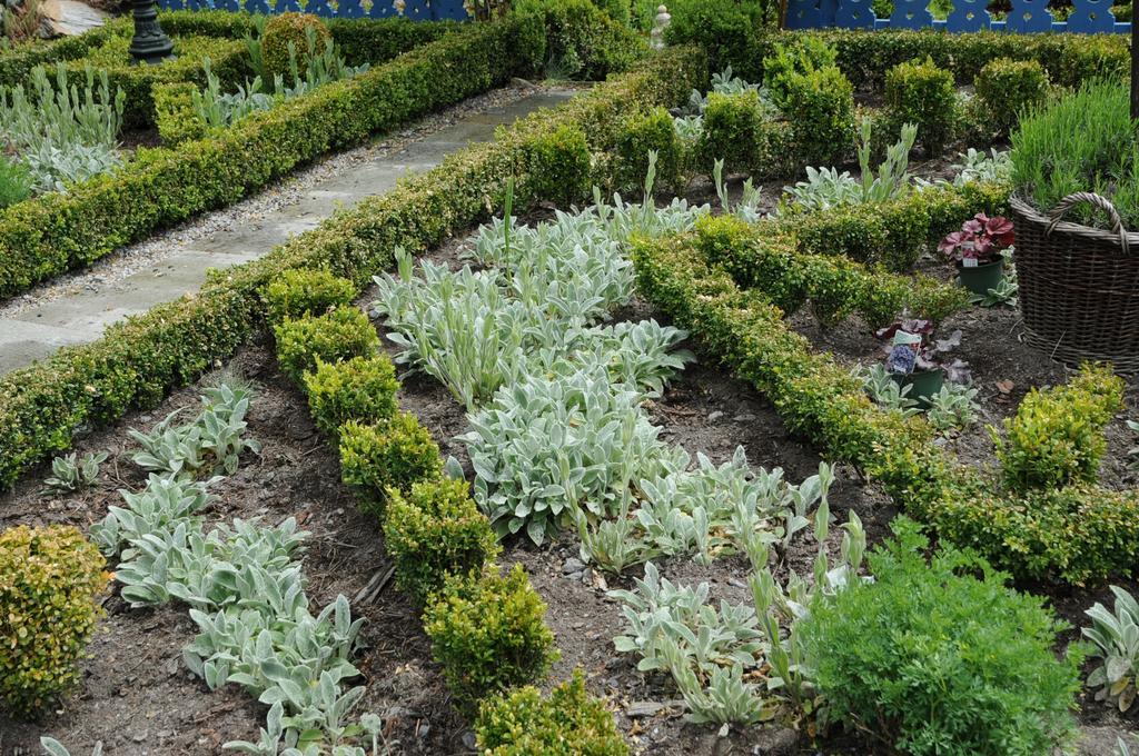 Sulamith Ferienhaus Mit Garten Sankt Kathrein am Offenegg Buitenkant foto