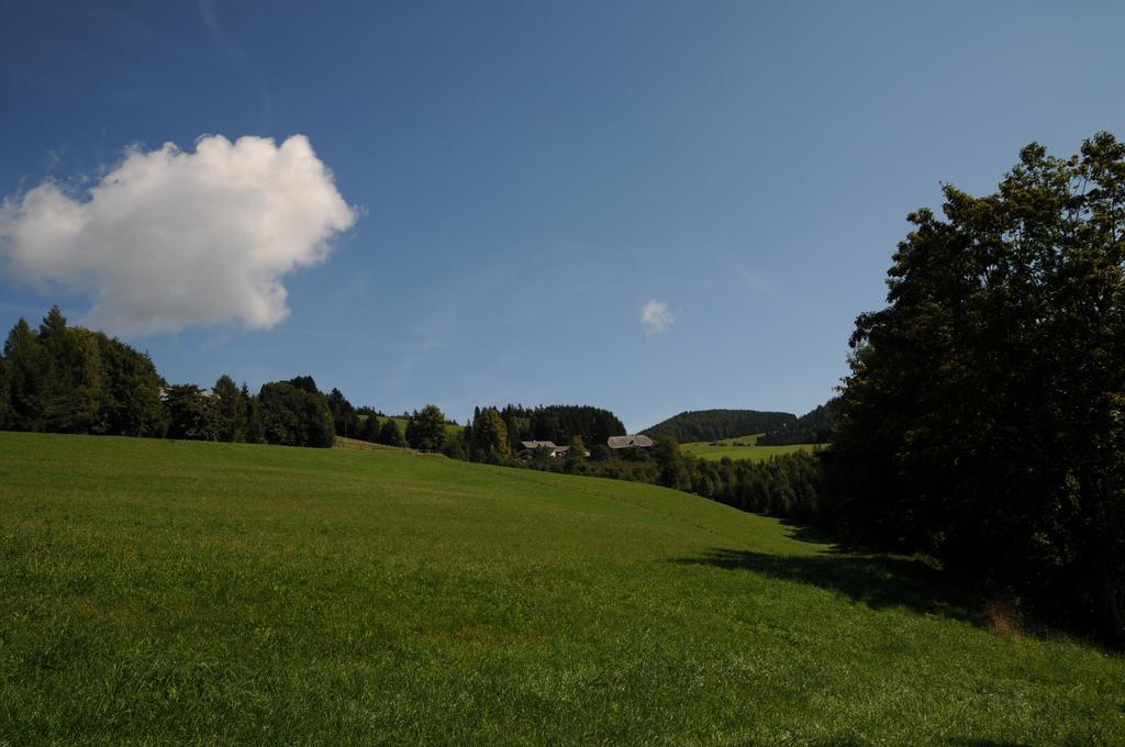 Sulamith Ferienhaus Mit Garten Sankt Kathrein am Offenegg Buitenkant foto