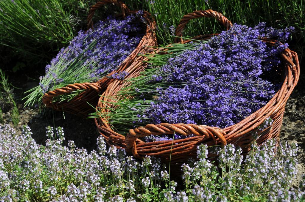 Sulamith Ferienhaus Mit Garten Sankt Kathrein am Offenegg Buitenkant foto